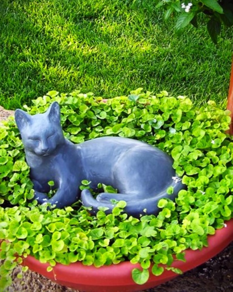 Cat garden statue