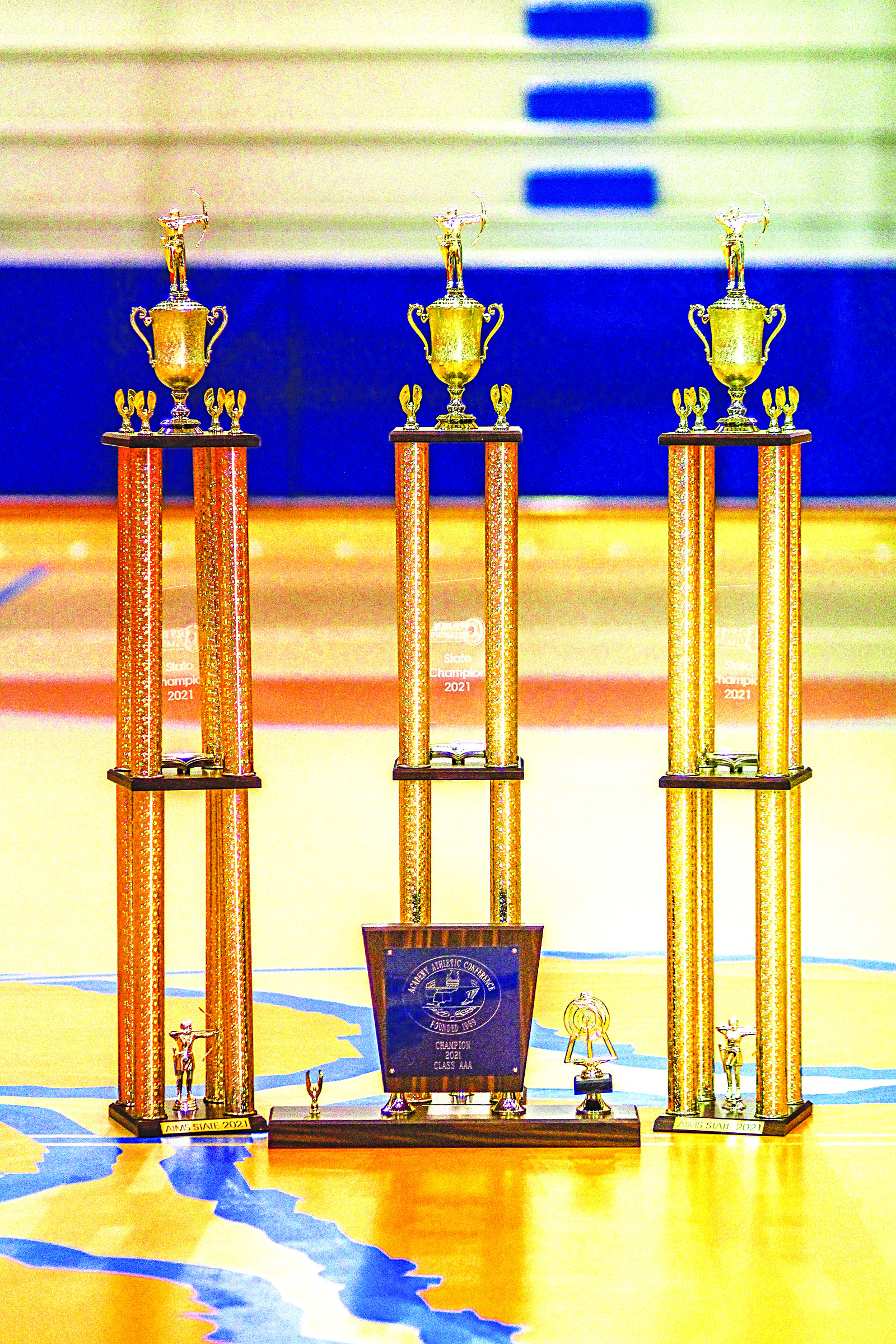 The Cougars earned state titles in elementary, junior high and high school last season. 