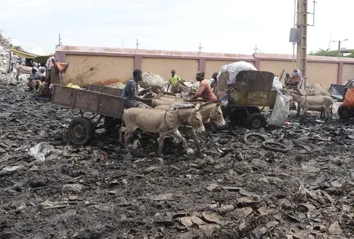 Donkeys pull a cart to collect household waste at the Badalabougou garbage dump site in Bamako, Mali, on July 10, 2024. (AP Photo/Moustapha Diallo)