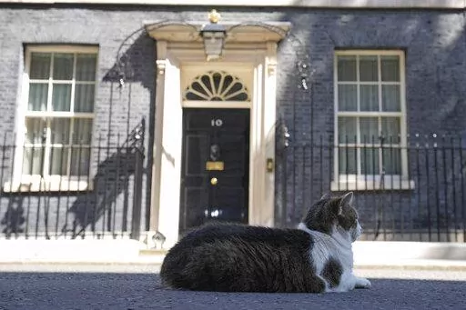 Larry the Cat, Britain's Chief Mouser to the Cabinet Office rests in front of 10 Downing Street in London, Friday, July 8, 2022. Britain's Prime Minister Boris Johnson announced that less than three years after becoming prime minister, he was resigning and would remain in office only until a successor emerged.(AP Photo/Frank Augstein)