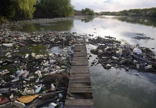 A swan stands between dumped plastic bottles and waste at the Danube river in Belgrade, Serbia, on April 18, 2022. A new study says Earth has pushed past seven out of eight scientifically established safety limits and into “the danger zone,” not just for an overheating planet that’s losing its natural areas, but for well-being of people living on it. The study, published Wednesday, May 31, 2023, for the first time it includes measures of “justice,” which is mostly about preventing harm