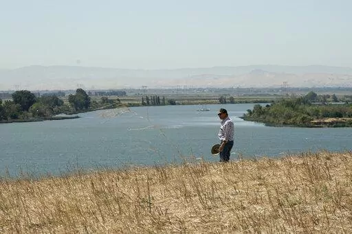 Al Medvitz, who farms alfalfa and other crops, looks out over Sacramento River from a hill on his land near Rio Vista, Calif., on Monday, July 25, 2022. In dry winters like the one California just had, less fresh water flows down from the mountains into the Sacramento River, the state's largest. Medvitz wants approval from the state to build a small reservoir on the property to store fresh water for use in dry times.  (AP Photo/Rich Pedroncelli)