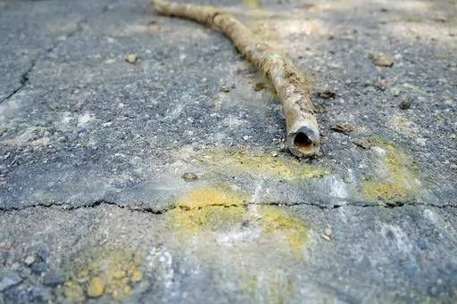 A lead water service line from 1927 lays on the ground on a residential street after being removed on June 17, 2021, in Denver. Some 9.2 million lead pipes carry water into homes across the U.S., with more in Florida than any other state, according to a new Environmental Protection Agency survey that will dictate how billions of dollars to find and replace those pipes are spent. (AP Photo/Brittany Peterson, File)