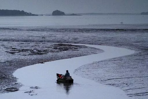Clam digger Scott Lavers paddles his canoe on his way to work on a mudflat exposed by the receding tide, in this Friday, Sept. 4, 2020, file photo in Freeport, Maine. Warming waters and invasive species are threatening a way of life for many in the country's seafood industry. (AP Photo/Robert F. Bukaty)