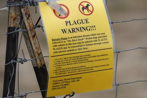 A bubonic plague warning sign is displayed at a parking lot near the Rocky Mountain Arsenal Wildlife Refuge, Saturday, Aug. 10, 2019, in Commerce City, Colo. Officials in central Oregon this week reported a case of bubonic plague in a resident who likely got the disease from a sick pet cat. (AP Photo/David Zalubowski, File)