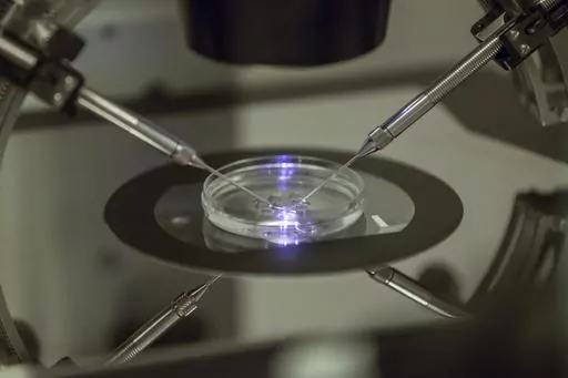 An embryologist works on a petri dish at the Create Health fertility clinic in south London, Thursday, Aug. 14, 2013. Britain's fertility regulator said the first babies created using an experimental technique combining DNA from three people have been born, in an effort to prevent the children from inheriting rare genetic diseases. (AP Photo/Sang Tan, File)