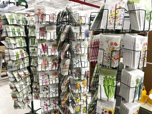 This Jan. 23, 2022 image provided by Jeff Lowenfels shows seed packets for sale on in Anchorage, Alaska. Seed racks are back in stores promising all kinds of abundance in the gardening season ahead. Be careful approaching them, those seed packets can lure you in with pretty pictures on the front. But it's the advice on the back you need to follow. (Jeff Lowenfels via AP)