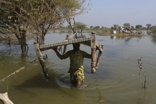 Villagers retrieve belongings, which were they kept on the higher ground surrounded floodwaters, at a village in Sohbat Pur, a flood-hit district of Baluchistan province, Pakistan, Oct. 25, 2022. Far more people are in harm's way as they move into high flood zones across the globe, adding to an increase in watery disasters from climate change, a new study said. (AP Photo/Fareed Khan, File)