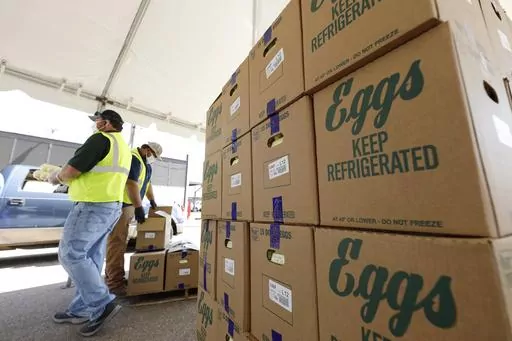 Cases of eggs from Cal-Maine Foods, Inc., await to be handed out by the Mississippi Department of Agriculture and Commerce employees at the Mississippi State Fairgrounds in Jackson, Miss., on Aug. 7, 2020. The largest producer of fresh eggs in the United States said Tuesday, April 2, 2024 that it has stopped production at a Texas plant after bird flu was found in chickens there. Cal-Maine Foods, Inc. said in a statement that approximately 1.6 million laying hens and 337,000 pullets, about 3.6% o