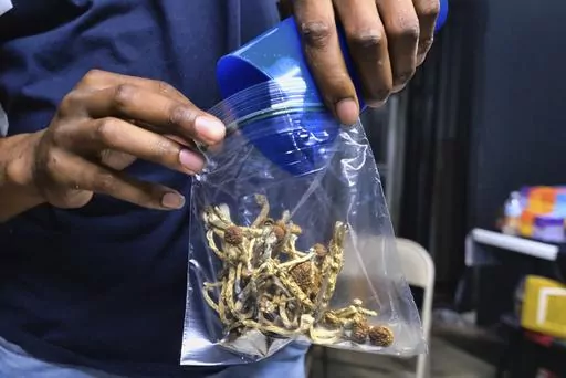 A vendor bags psilocybin mushrooms at a cannabis marketplace on May 24, 2019, in Los Angeles. California Gov. Gavin Newsom has vetoed a bill aimed at decriminalizing the possession and use of some hallucinogens, including psychedelic mushrooms. The veto, Saturday, Oct. 7, 2023, comes after the Legislature voted to make California the third state to do so. The bill would have removed criminal penalties for the possession and use of psychedelic mushrooms, mescaline and dimethyltryptamine, or DMT. 
