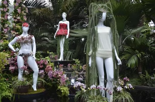A fashion-creation inspired by nature from Dauphinette designed by Olivia Cheng in "The Orchid Show: Florals in Fashion" at The New York Botanical Garden, Saturday, Feb. 17, 2024, in the Bronx borough of New York. A mannequin, right, wears blue-green tresses of Huperzia, and Echeveria, on a staircase of orchids. The mannequin's dress in back has green decorative elements that are beetles with hanging Senecio peregrinus "String of Dolphins" succulents. (AP Photo/Pamela Hassell)