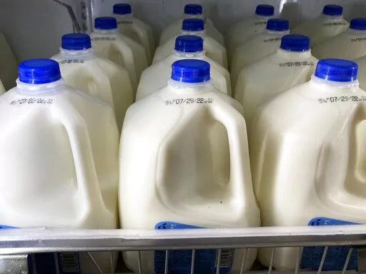 Milk is displayed at a grocery store in Philadelphia, Tuesday, July 12, 2022. Food and Drug Administration officials issued guidance that says plant-based beverages don’t pretend to be from dairy animals – and that U.S. consumers aren’t confused by the difference. (AP Photo/Matt Rourke, File)