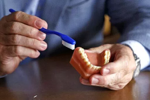 A dentist holds a model of teeth and a toothbrush in Seattle on Friday, Aug. 3, 2018. For many years, studies have shown that gum diseases are tied to premature birth. Scientists believe bacterial infections in the mouth can increase inflammation in the body, which could lead to early birth. (AP Photo/Elaine Thompson, File)