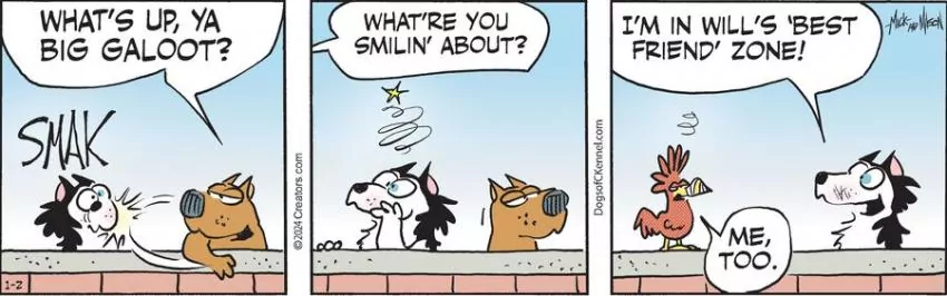 Dogs of C-Kennel for Jan 02, 2024