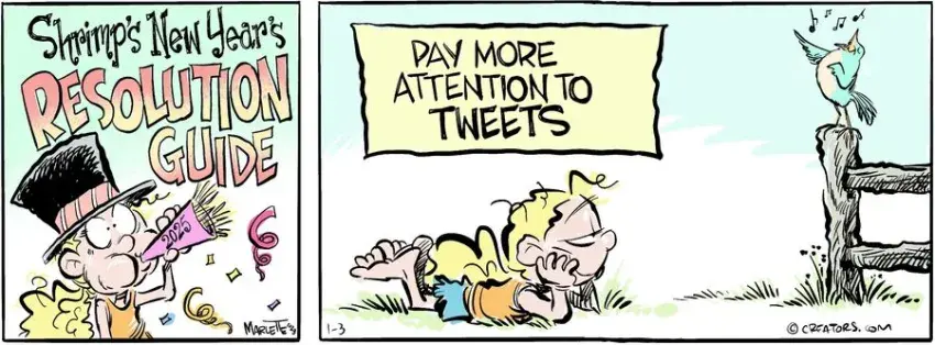 Shrimp and Grits for Jan 03, 2025