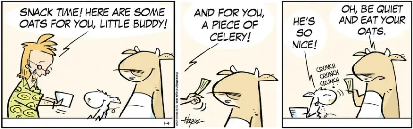 The Barn for Jan 04, 2023