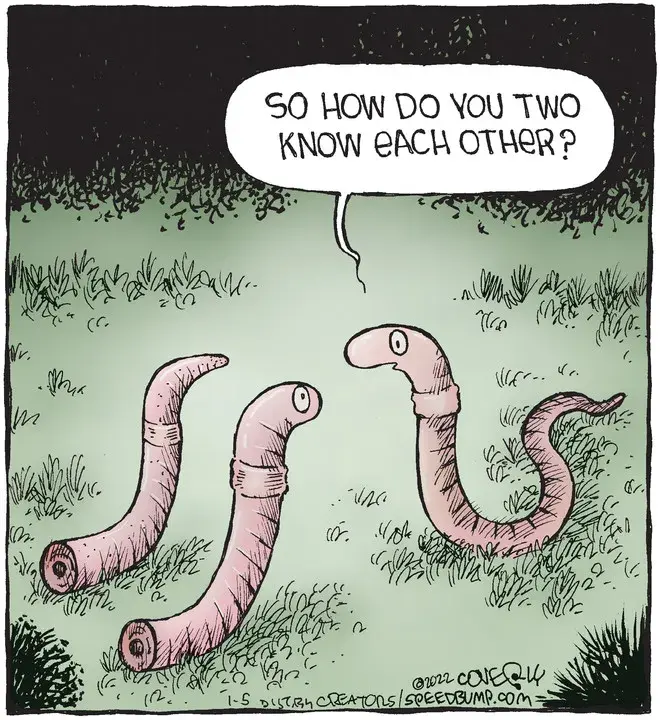 Speed Bump for Jan 05, 2022