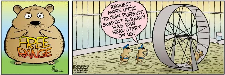 Free Range for Jan 07, 2024