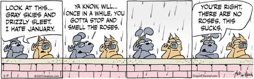 Dogs of C-Kennel for Jan 07, 2025