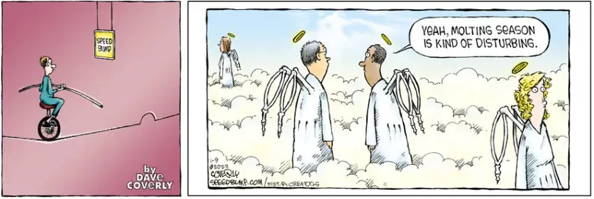 Speed Bump for Jan 09, 2022