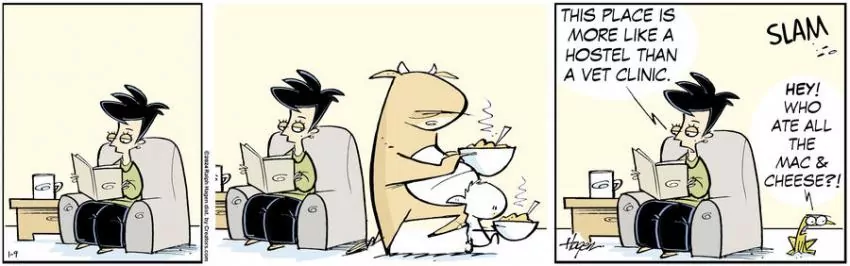 The Barn for Jan 09, 2024