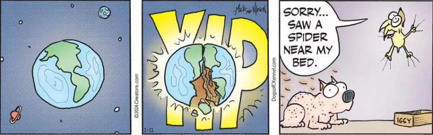 Dogs of C-Kennel for Jan 11, 2024