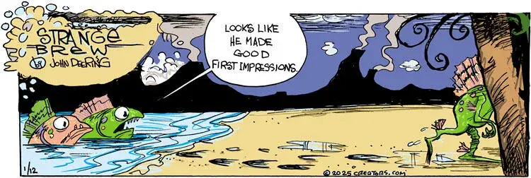 Strange Brew for Jan 12, 2025