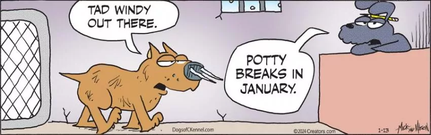 Dogs of C-Kennel for Jan 13, 2024