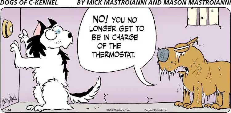 Dogs of C-Kennel for Jan 14, 2024