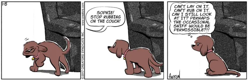 Dog Eat Doug for Jan 15, 2022