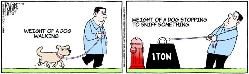 The Other Coast for Jan 15, 2025