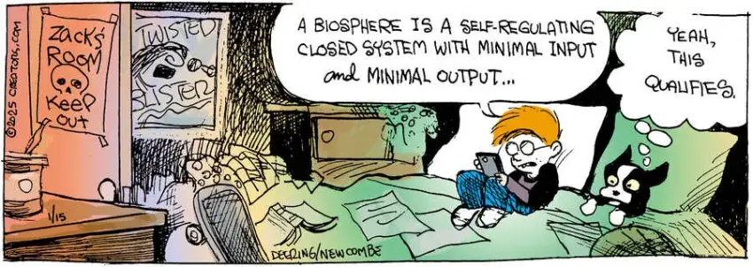 Zack Hill for Jan 15, 2025