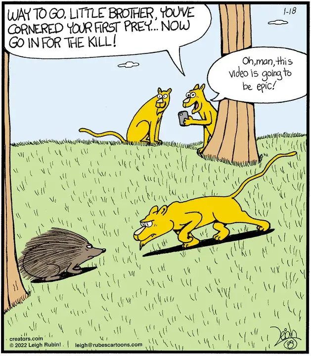 Rubes® for Jan 18, 2022