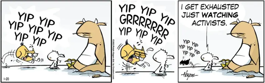 The Barn for Jan 20, 2022