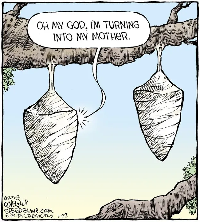 Speed Bump for Jan 22, 2022