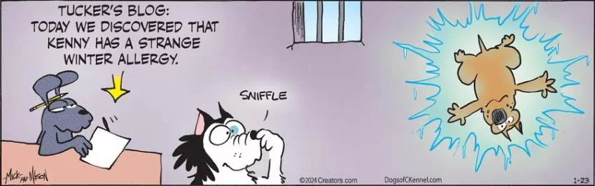 Dogs of C-Kennel for Jan 23, 2024