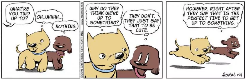 Dog Eat Doug for Jan 24, 2024