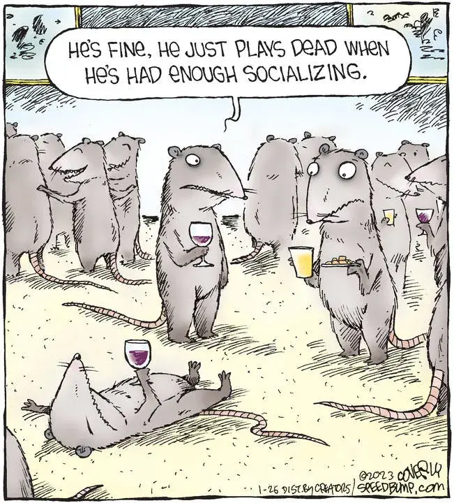 Speed Bump for Jan 26, 2023