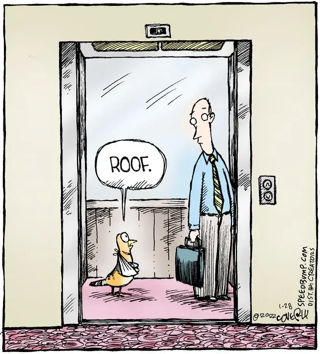 Speed Bump for Jan 28, 2022