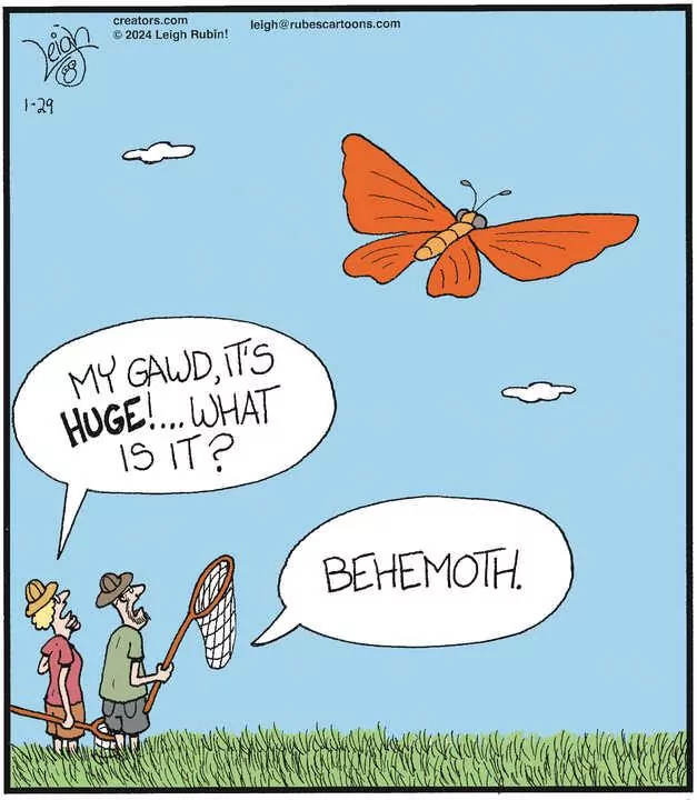 Rubes® for Jan 29, 2024