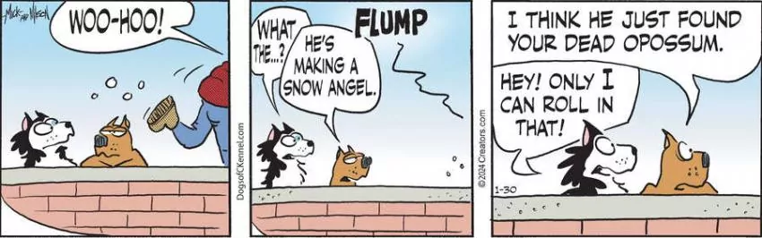 Dogs of C-Kennel for Jan 30, 2024