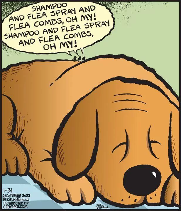 Free Range for Jan 31, 2023