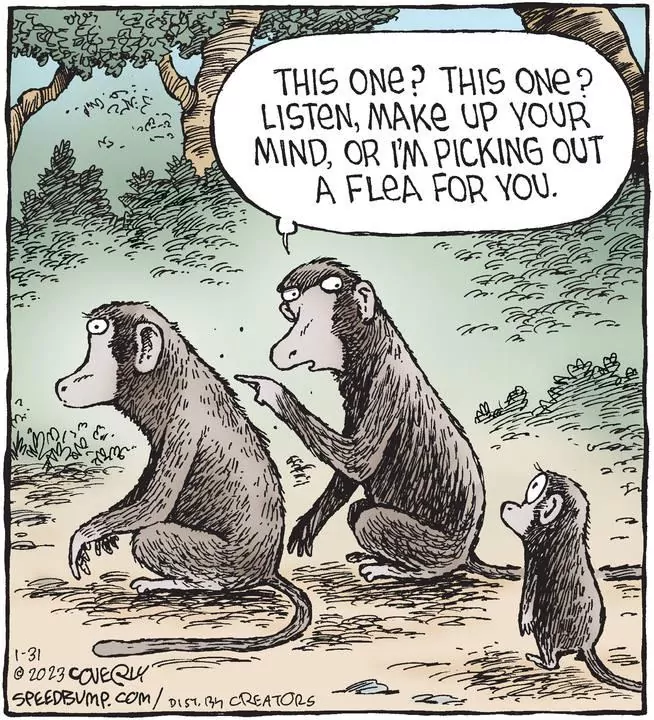 Speed Bump for Jan 31, 2023