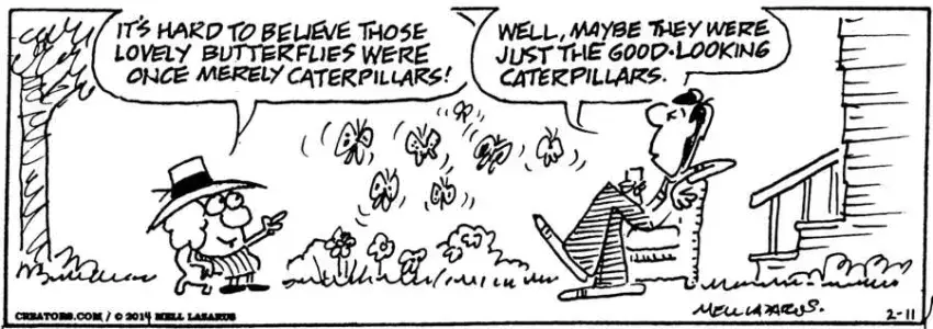 Momma for Feb 11, 2025