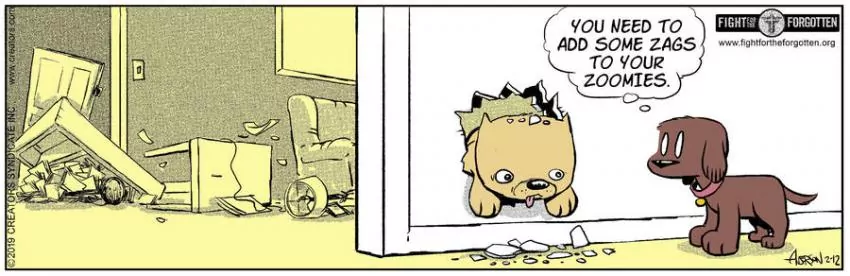 Dog Eat Doug for Feb 12, 2024