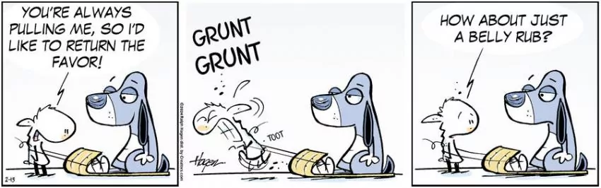 The Barn for Feb 13, 2024