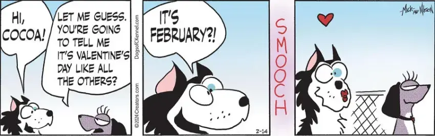 Dogs of C-Kennel for Feb 14, 2024