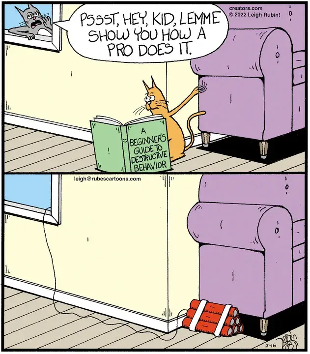 Rubes® for Feb 16, 2022