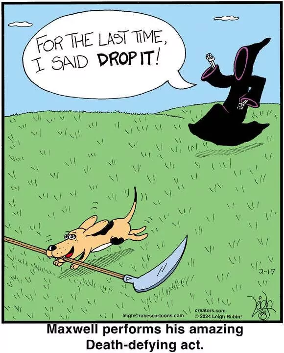 Rubes® for Feb 17, 2024