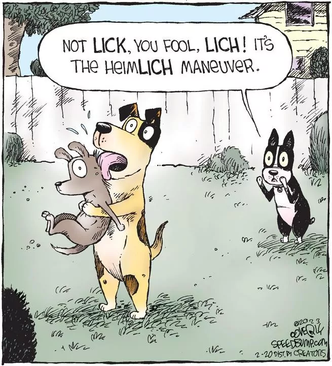 Speed Bump for Feb 20, 2023